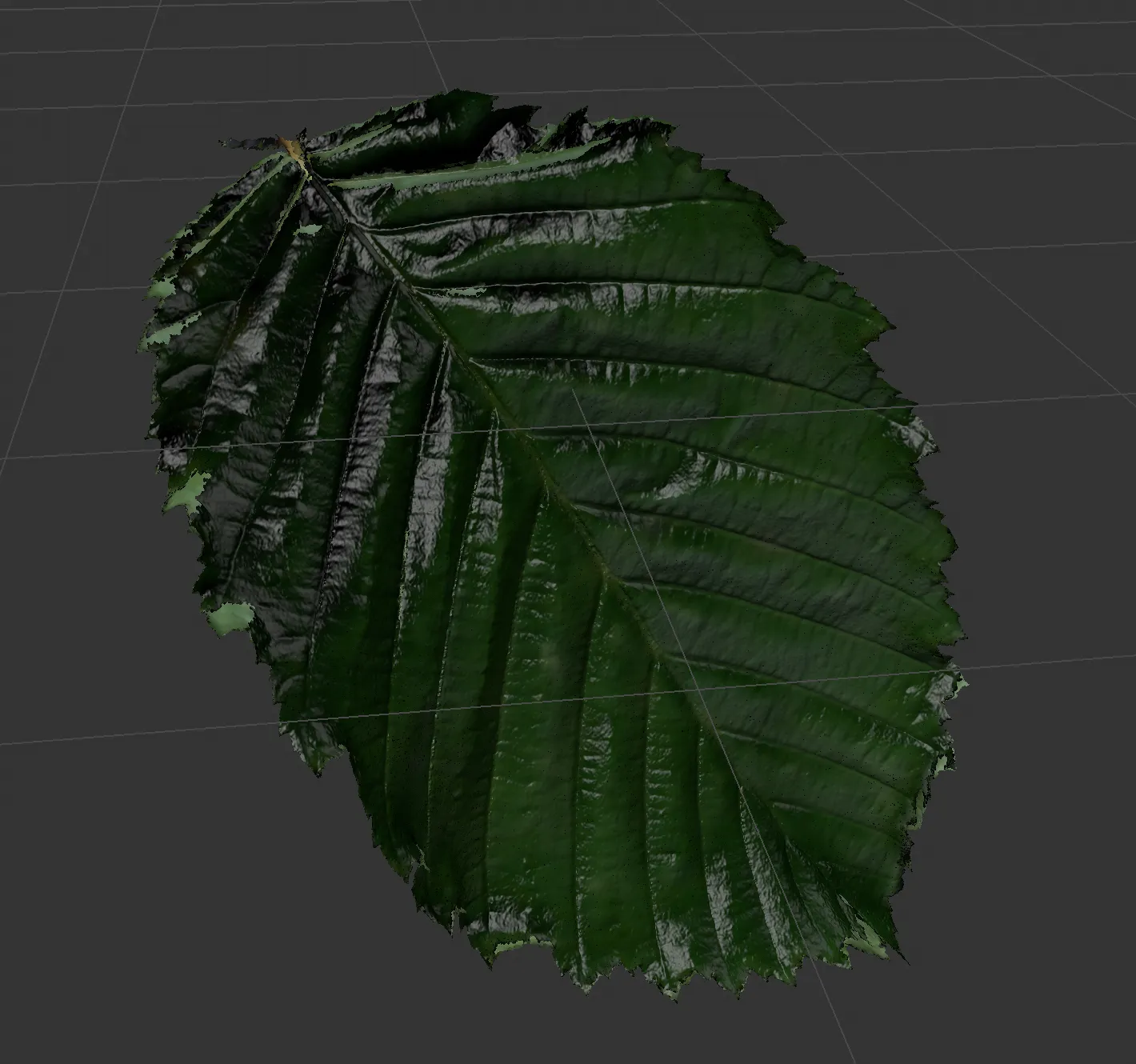 Leaf Model B